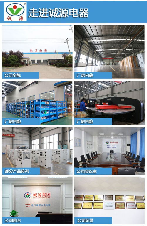 雙電源配電箱生產廠家 誠源電器 產品求精 服務快捷